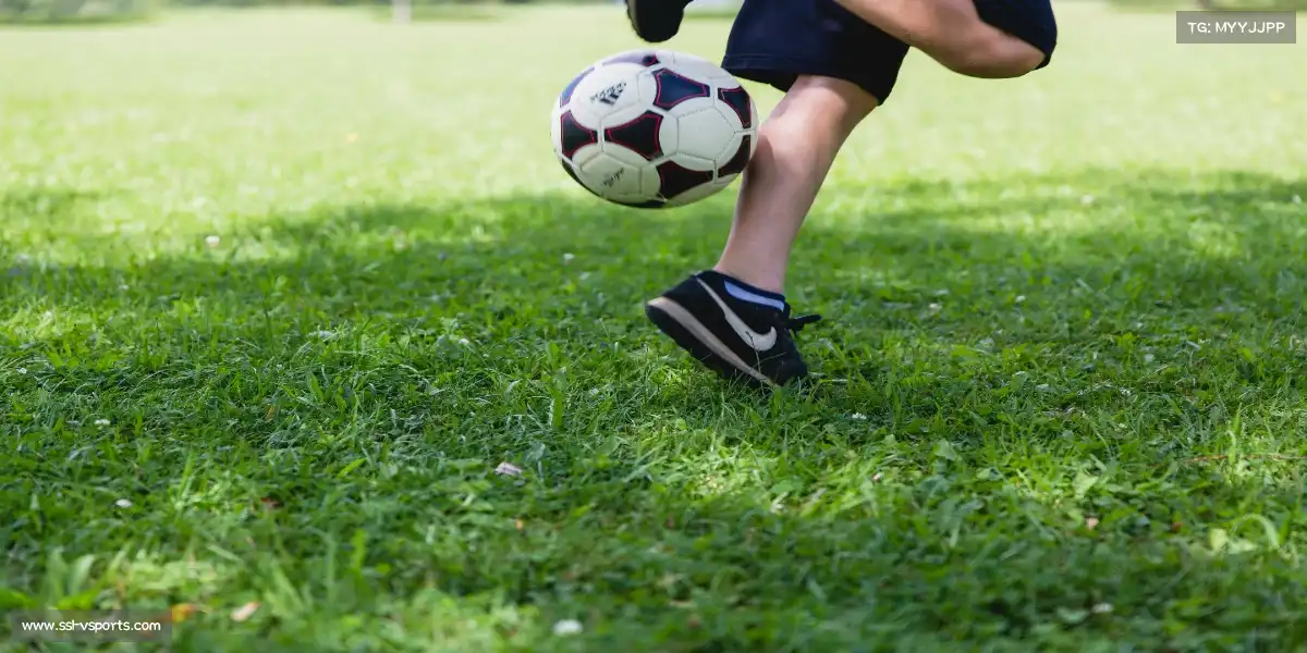 v体育网页版——🎯周边好物，球迷必备！🎲